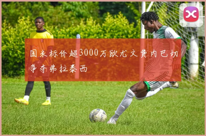 国米标价超3000万欧尤文费内巴切争夺弗拉泰西