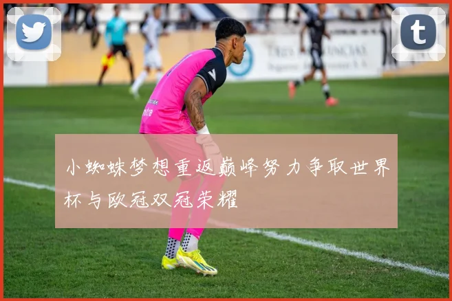 小蜘蛛梦想重返巅峰努力争取世界杯与欧冠双冠荣耀