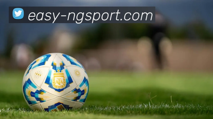 南宫体育平台生态图