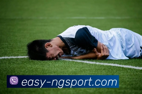 南宫体育APP 封面图